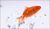 poissons rouges